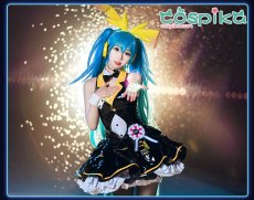 画像5: VOCALOID 初音ミク マイディアバニーVer. Project DIVA Acade レーシングミク コスプレ衣装 (5)