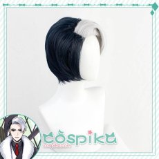 画像4: ツイステッドワンダーランド ツイステ デイヴィス・クルーウェル コスプレウィッグ (4)