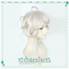 画像2: ポケットモンスターソード・シールド ポケモン剣盾 ビート コスプレウイッグ (2)